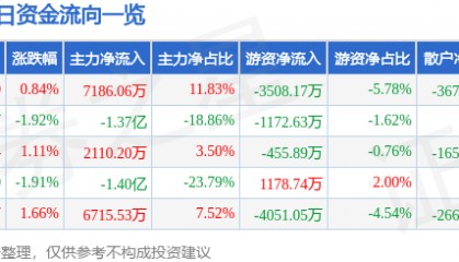 股票行情快报:利欧股份(002131)6月11日主力资金净买入7186.06万元