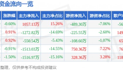 股票行情快报:大名城(600094)8月21日主力资金净买入1057.13万元