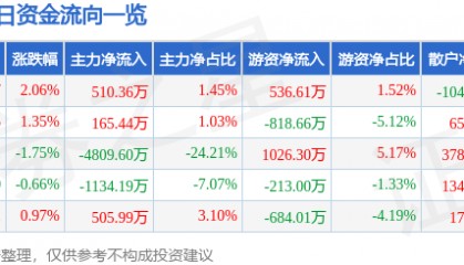 股票行情快报:康强电子(002119)7月25日主力资金净买入510.36万元