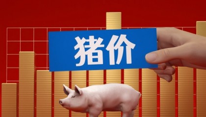 今日猪价行情趋势