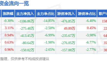 股票行情快报:大名城(600094)7月11日主力资金净卖出1106.86万元