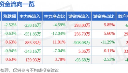 股票行情快报：大名城（600094）6月13日主力资金净卖出230.16万元