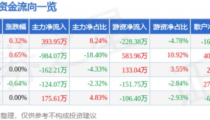 股票行情快报:大名城(600094)7月3日主力资金净买入393.95万元