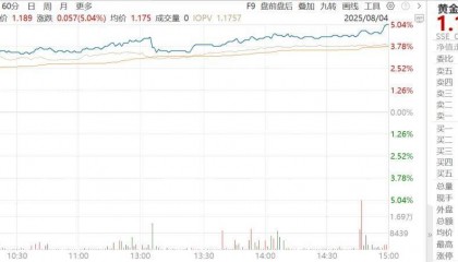 黄金股票ETF大涨5.04%点评