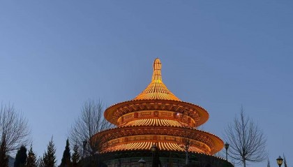 期货交易软件哪个好用？主流软件功能特点解析
