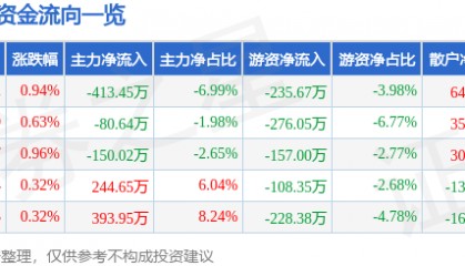 股票行情快报:大名城(600094)7月9日主力资金净卖出413.45万元