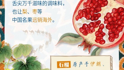 砥砺奋进七十载 天山南北谱华章|“馕”括万里的新疆味道