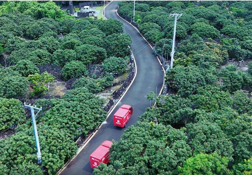 京东物流荔枝物流保障再升级，面向中小果农推出助农优惠