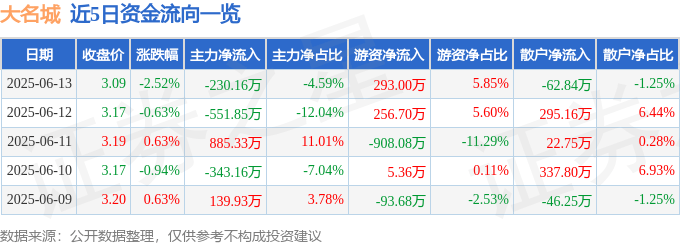 股票行情快报：大名城（600094）6月13日主力资金净卖出230.16万元
