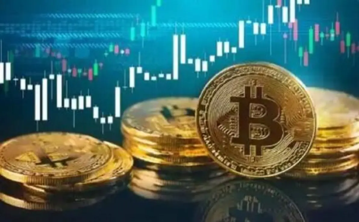 币虎全球交易所(币虎数字交易所全球排名是多少?)